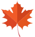 Autumn Icon