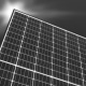 Solar module