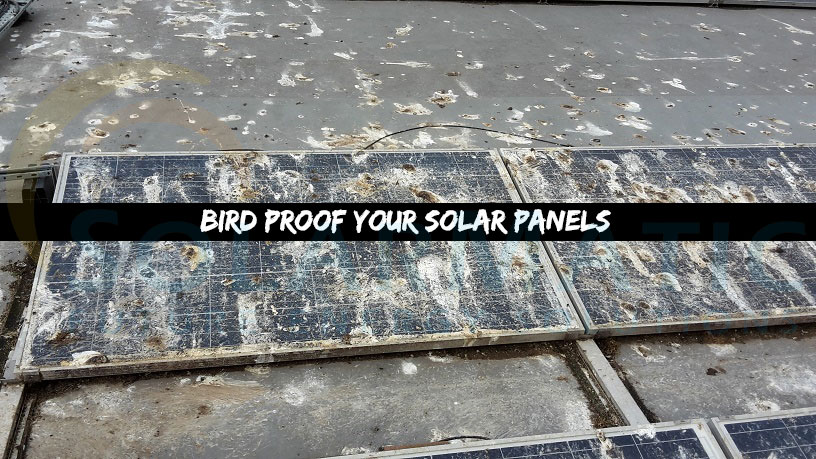 Bird proofing for solar panels