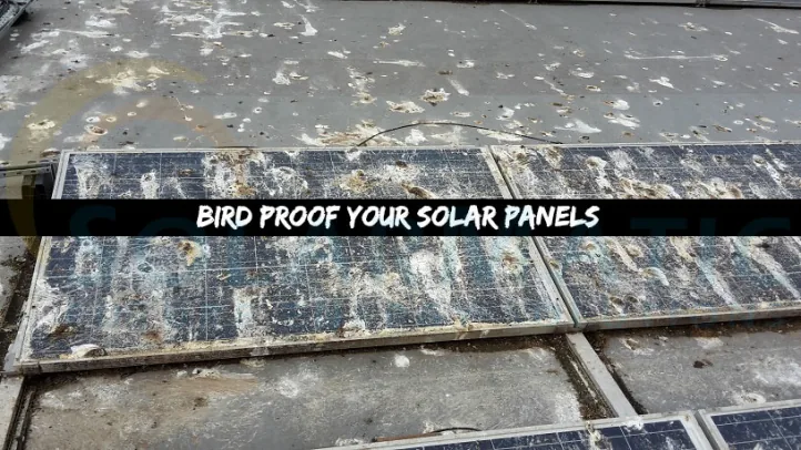 Bird proofing for solar panels