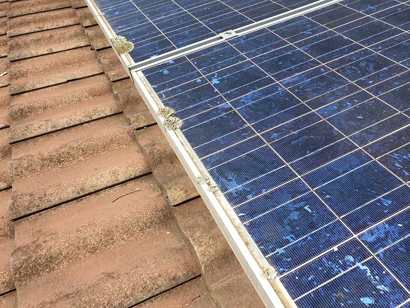 solar panel cleaning