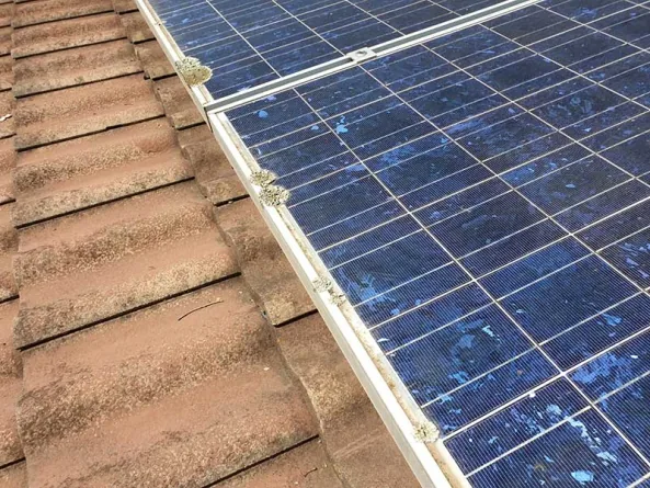 dirty-solar-panels-2 solar panel cleaning